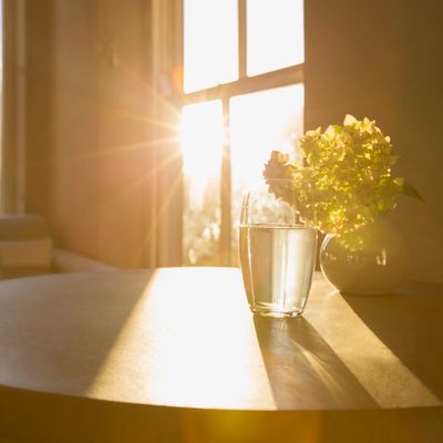 sunlight streaming through the window