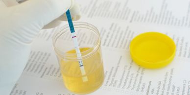 Offering DOT and Non-DOT urine drug screenings—contact us today for a personalized quote!