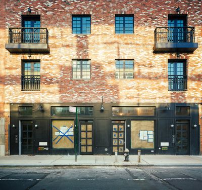 Newly poured Brooklyn sidewalk with greenery