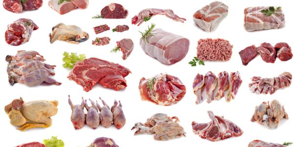 Various cuts of raw meat and poultry arranged on white background.