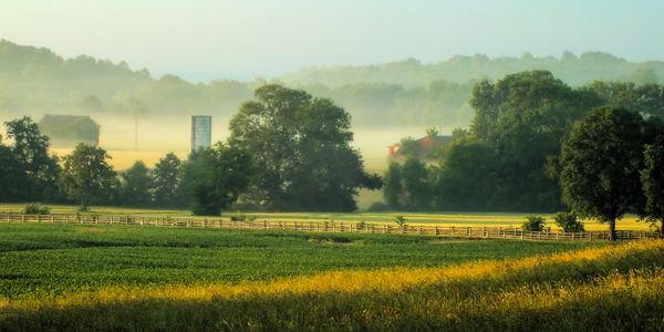 A misty morning over a green farmland with trees and silos.