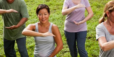 Group practicing Tai Chi outdoors on grass.