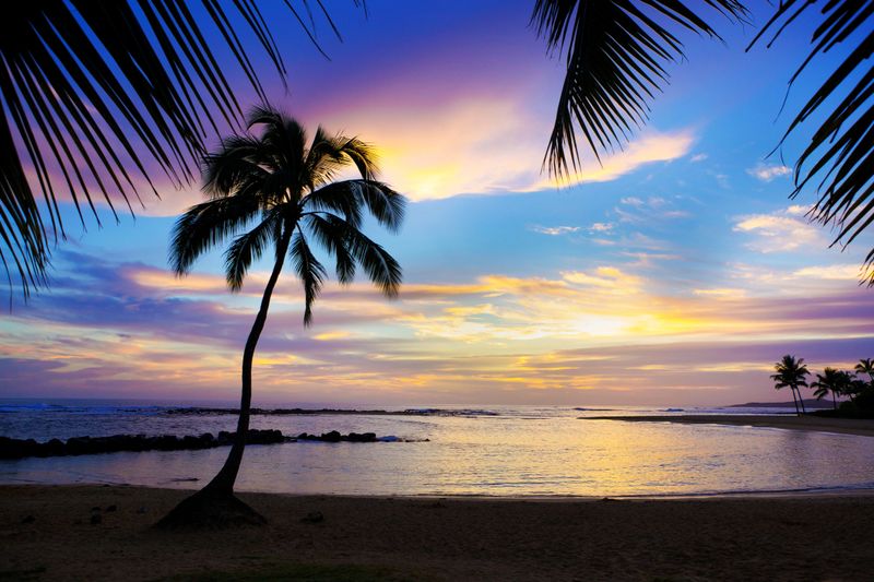 Dramatic Hawaiian sunset over the tropical paradise of Kauai. A colorful sunset on a romantic and tranquil beach surrounded by tropical silhouette palm trees. Photographed on location in Poipu Beach of Kauai, Hawaii, USA. Framed in horizontal format with silhouette palm and sandy beach, with copy space in the center of composition.