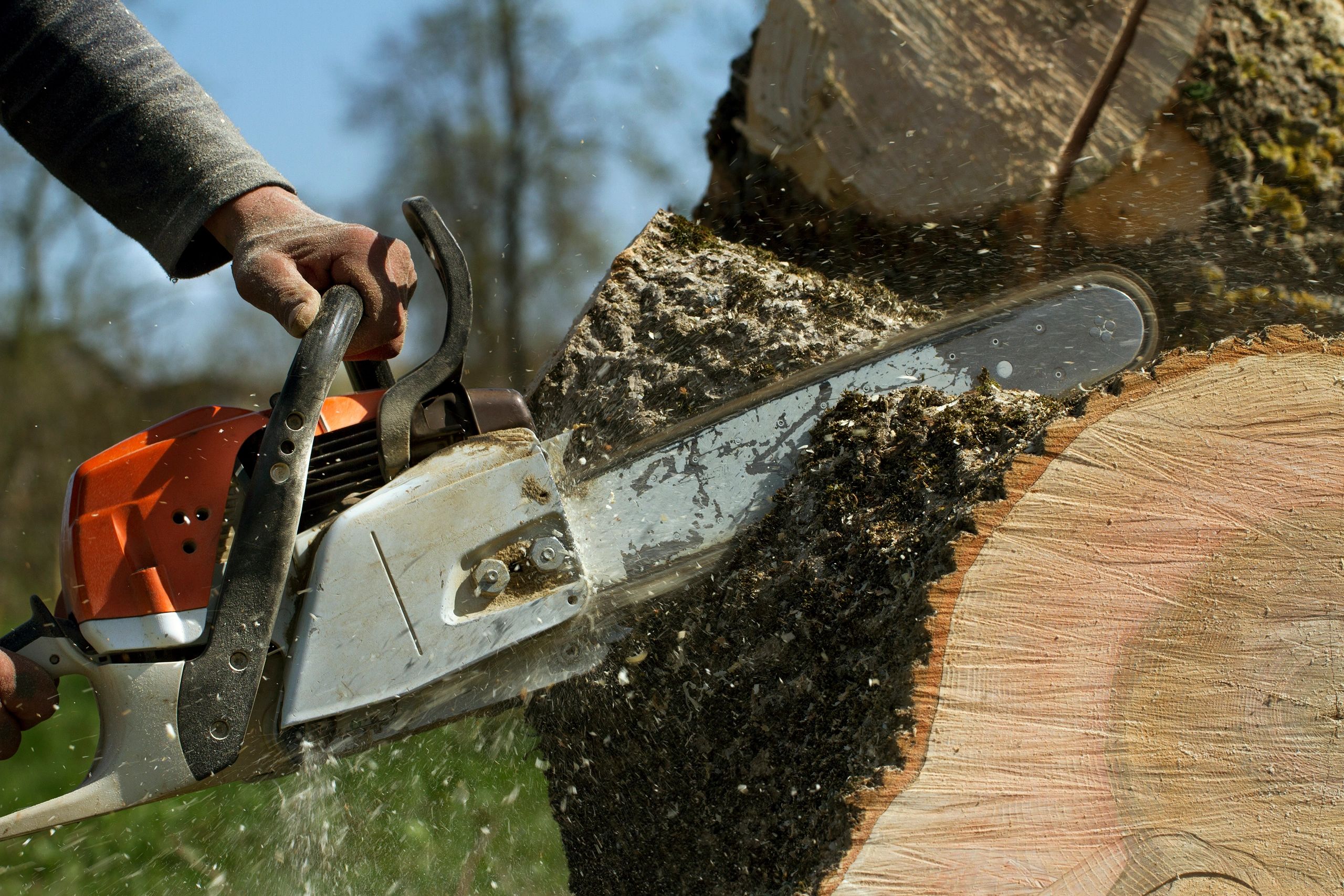 Rufus Tree Service