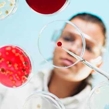 Close-up 3D illustration of colorful bacteria and microorganisms.