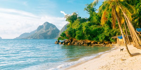 Sunny tropical beach with palm trees, clear blue water, and distant mountains.