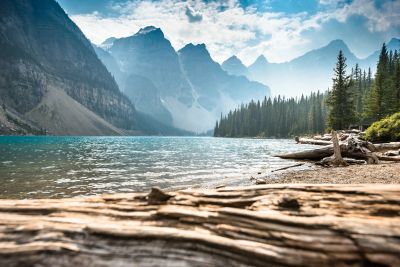 Tranquil mountain lake with driftwood shore.