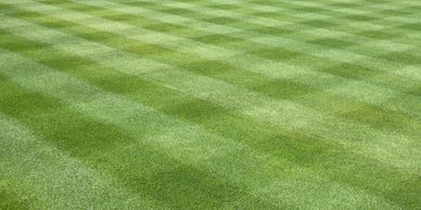 a perfectly striped lawn after lawn care on a north carolina property