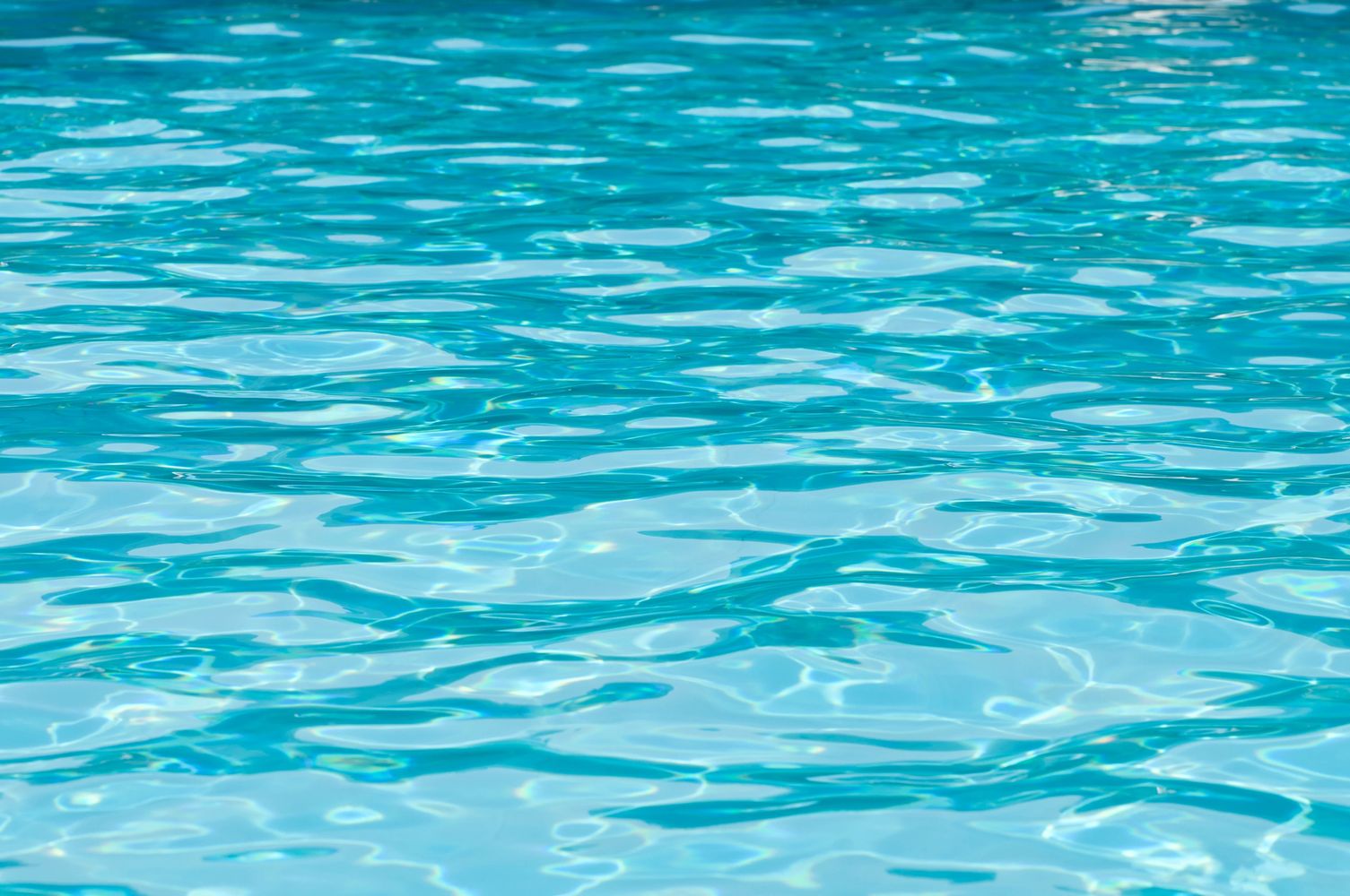 Clear blue water surface with gentle ripples reflecting sunlight.