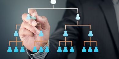 Hand drawing an organizational chart on transparent screen.