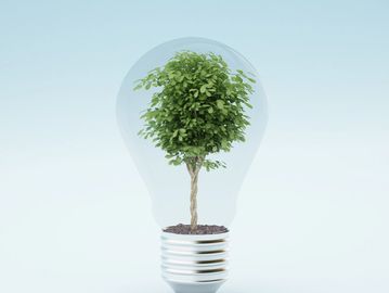 A green tree inside a transparent light bulb symbolizing eco-friendly ideas.