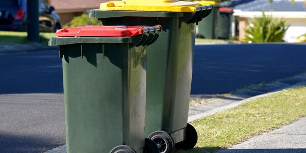 Two trash bins on a suburban street.