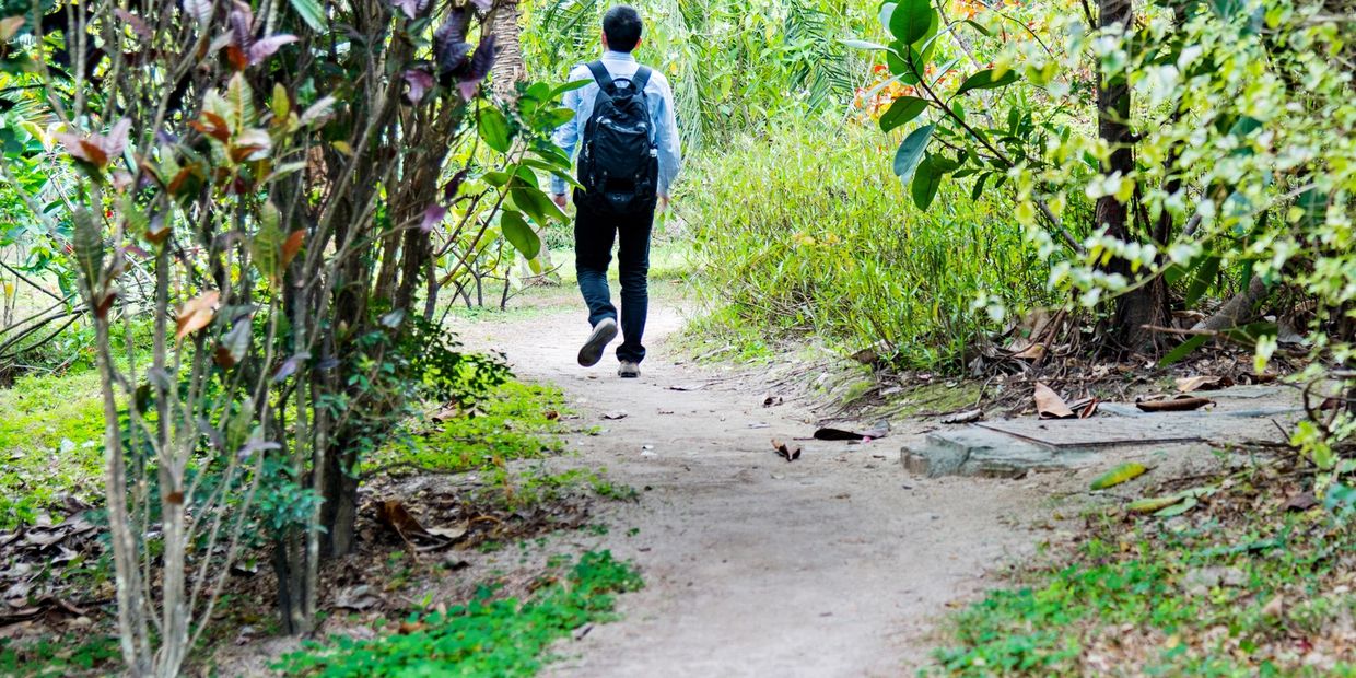 Man walking alone on a lush green forest path with a backpack.