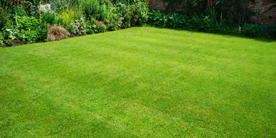 Professional lawn care for residential and building owners. Keep your property pristine with MSCSI