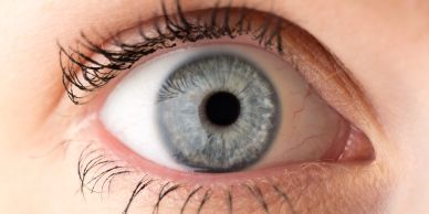 Close-up of a blue eye.