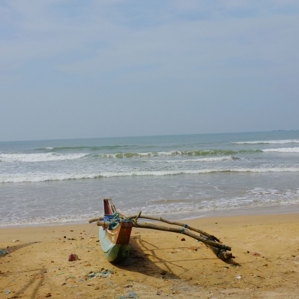 Secretary 
Adrian Gabriel