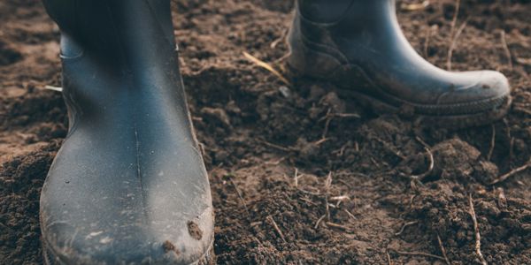 Black rubber boots standing on freshly turned soil.