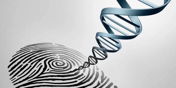 DNA helix connecting to a fingerprint.