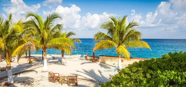Snorkeling with Cozumel Buggy Tours 