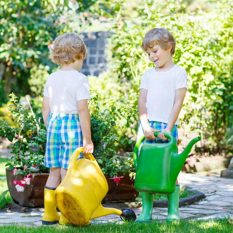 Two little kid boys watering plants and vegetables with can in  garden. Children, friends helping and having fun on warm summer day. Family, garden, gardening, lifestyle