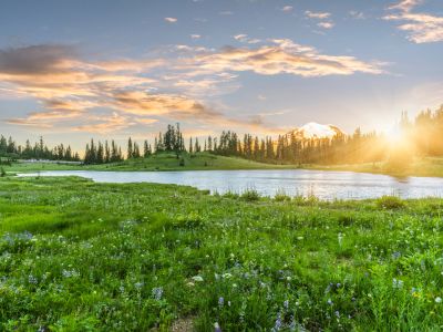 Sunset over a green meadow with a lake and trees.