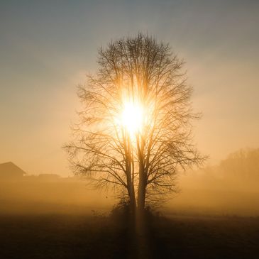 Gather
Teach
Nurture
Motivate 
Empower 

Sunday Service 2pm 

Teachings that support your path to En