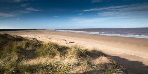 A calm beach with sand dunes and blue sky.