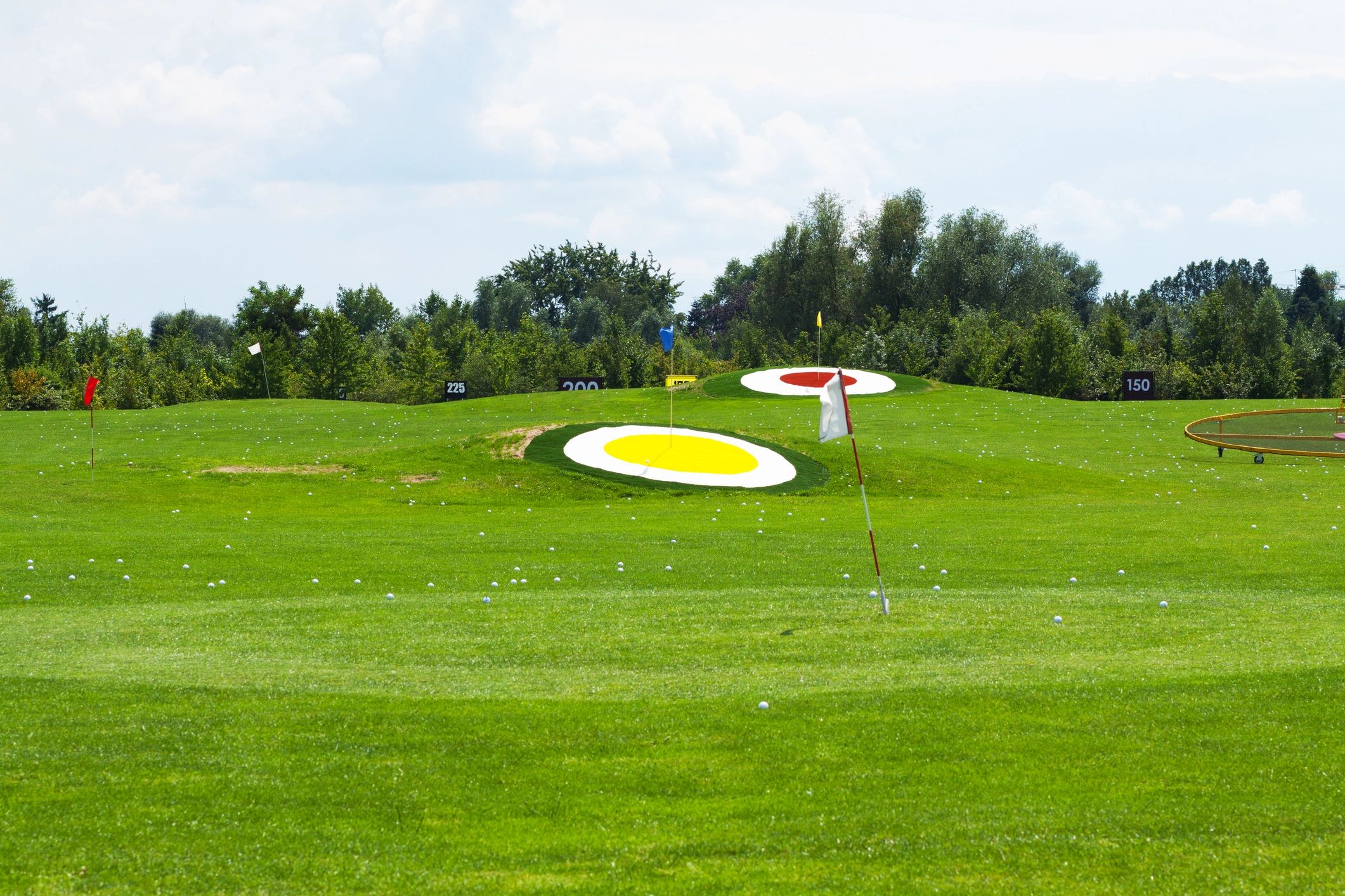 Natural Turf Solutions - BioXcel Turf