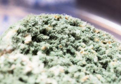 "buy cannabis late at night 
alt="order weed online in Tracy from a dispensary open late"