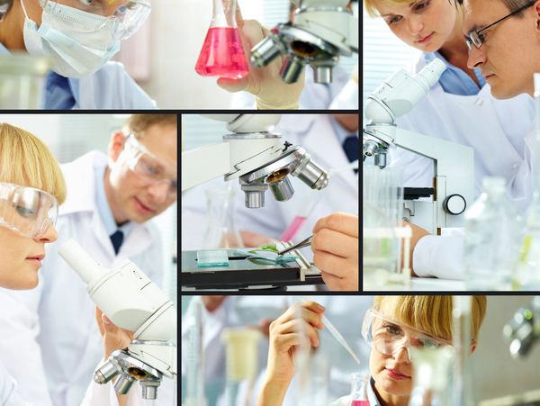 Scientists in lab coats conduct experiments using microscopes and chemical solutions.