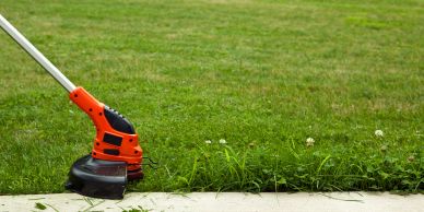 A string trimmer cutting grass along a sidewalk.