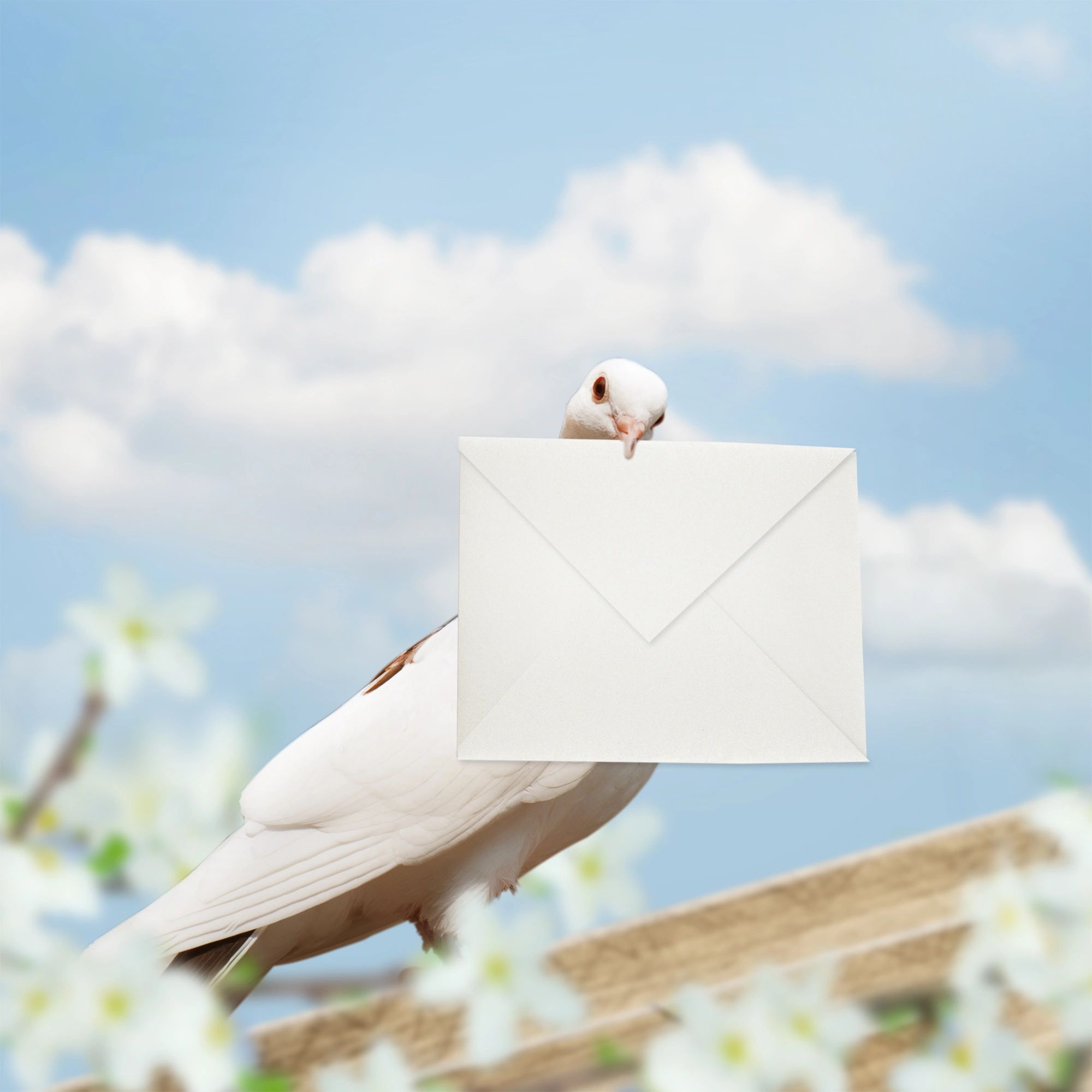 Bird holding a letter