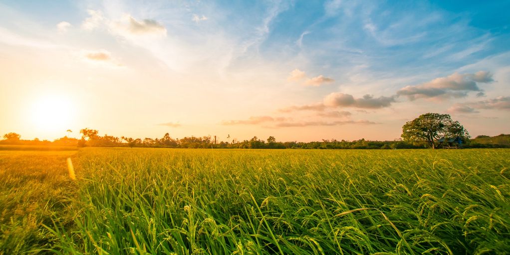 LAND (RESIDENTIAL & RURAL) —
 
We purchase land nationwide — vacant lots or large acreage.