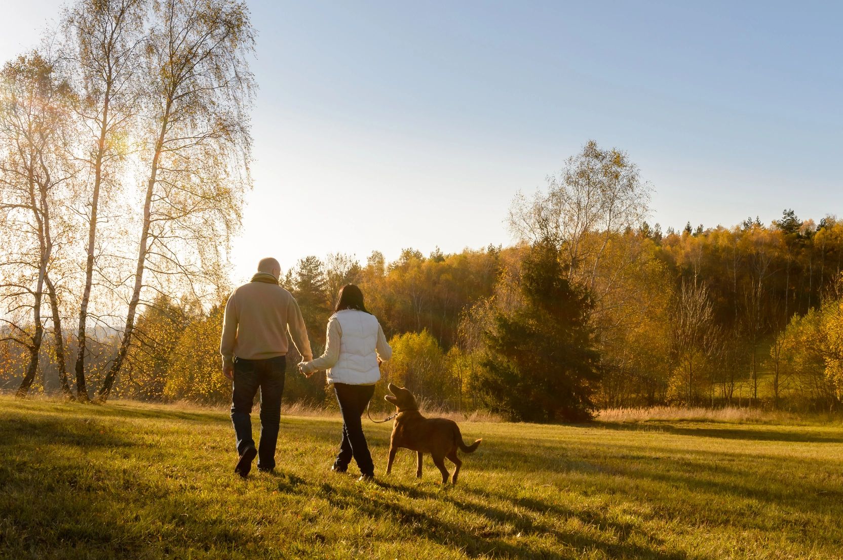 Couple holding hands walking their dog in an autumn park.