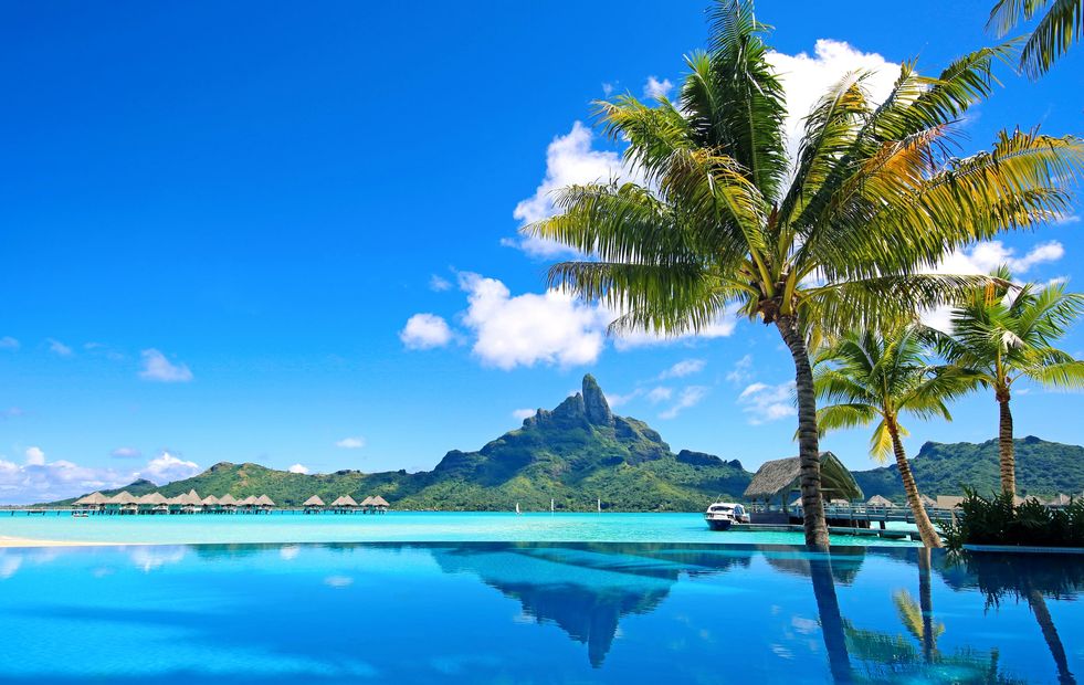 Tropical paradise with palm trees, clear blue water, and overwater bungalows under a bright sky.