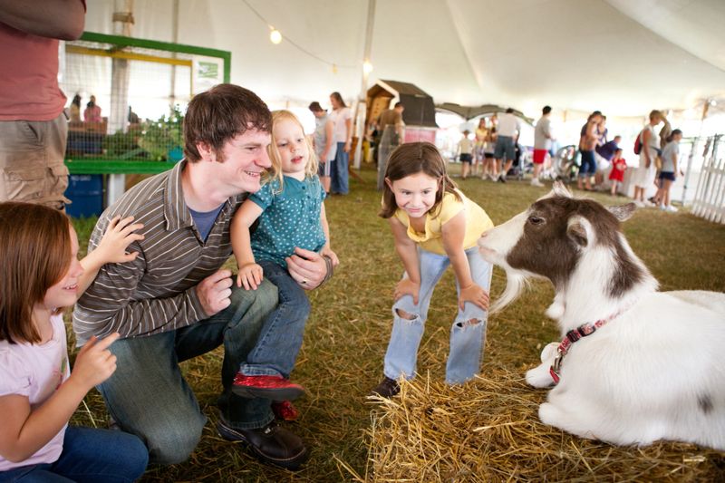Color image of a happy family taking a close up look at a goat on exhibition at an agricultural fair.