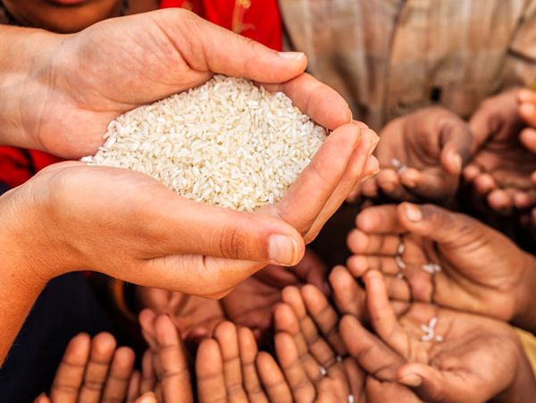 Hands holding rice above many outstretched hands, symbolizing aid.