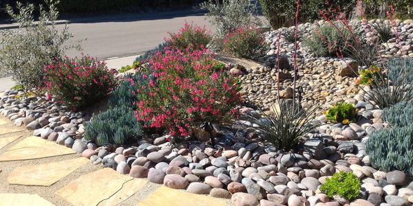 Rock garden with vibrant pink flowers and succulents along a stone path.