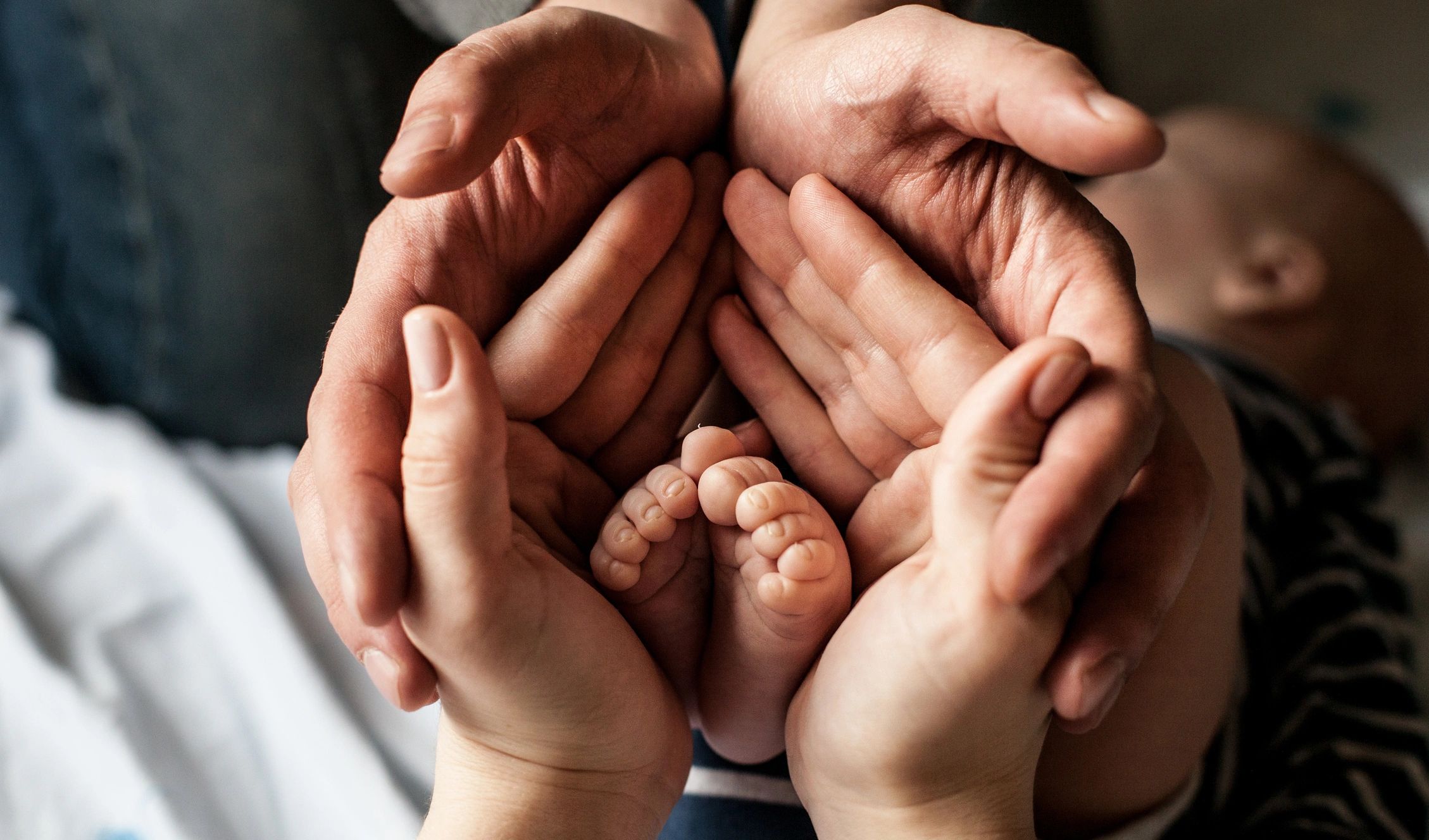 Hands of adults gently cradling tiny baby feet, symbolizing care and protection.