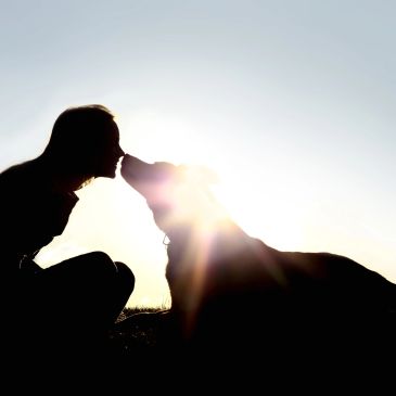 Silhouette of a person and dog sharing a tender moment at sunset.