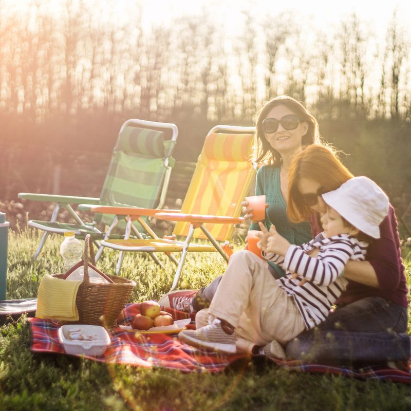 family on a picnic