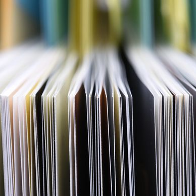 Close-up of open book pages in a row with blurred background.