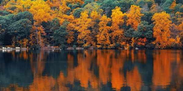 Beavers Bend State Park. Cabins, hiking, fishing, kayaking, Broken Bow Lake, camping, nature trails