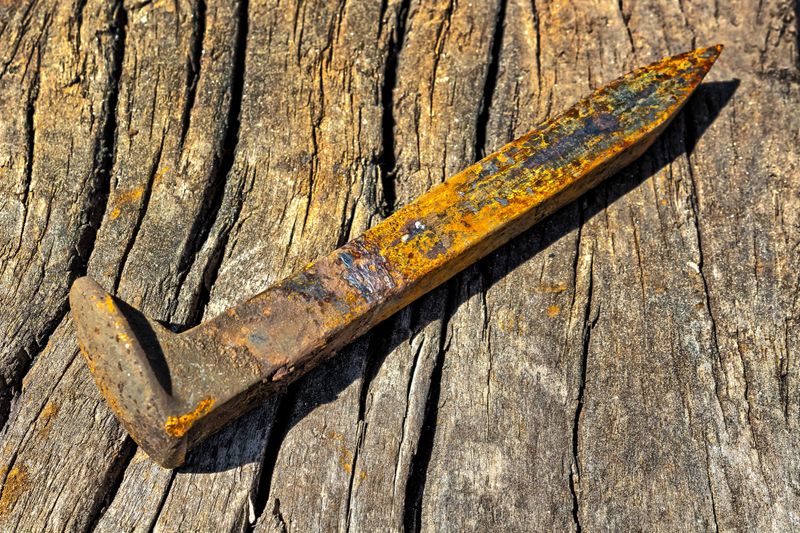 Single rusty railroad spikes laying on  ground