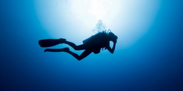 Silhouette of a scuba diver underwater with sunlit water above.