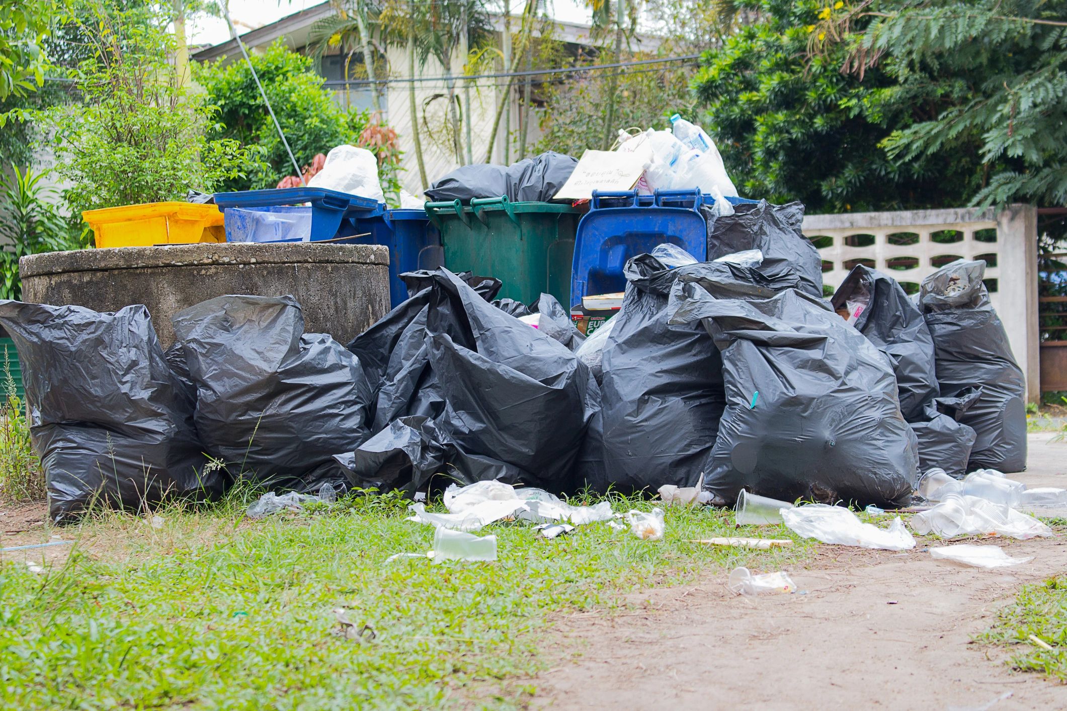 Cheap & Efficient Junk Removal in Saint-Joseph-du-Lac