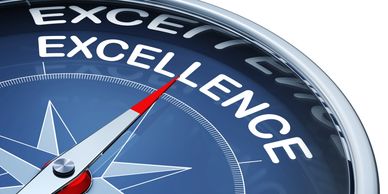 Organizational Excellence