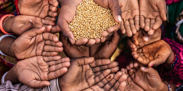 Several hands reaching out, one holding wheat grains.