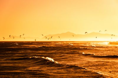 Best kitesurfing school in Brazil