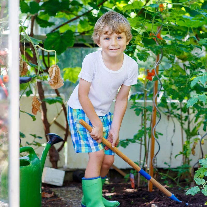 Happy little kid boy watering plants and vegetables with can and working with garden hoe in greenhouse. Preschool child helping on sunny summer day. Family, garden, gardening, lifestyle